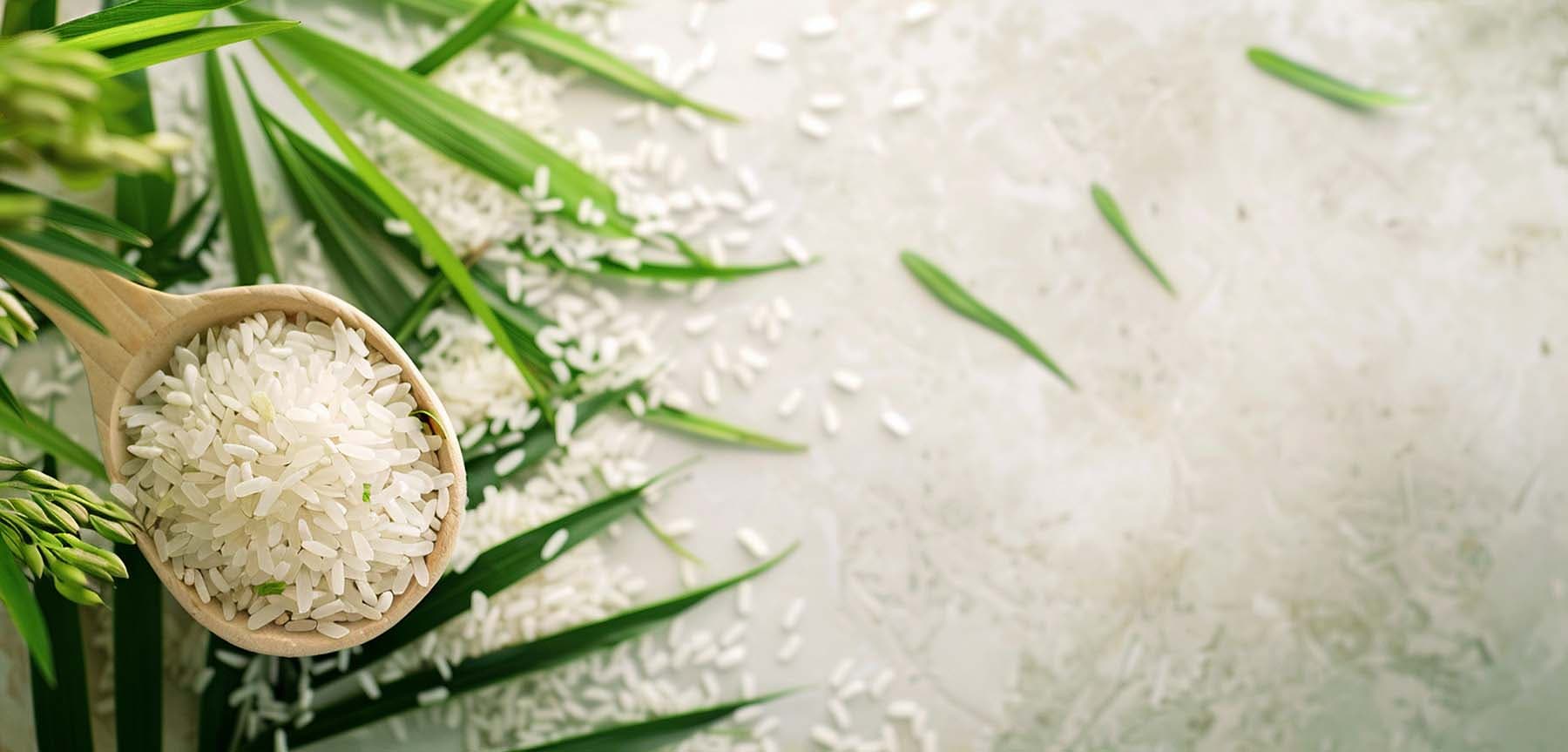 Chọn gạo Thịnh Phú
Chọn nguồn dinh dưỡng cho Gia Đình